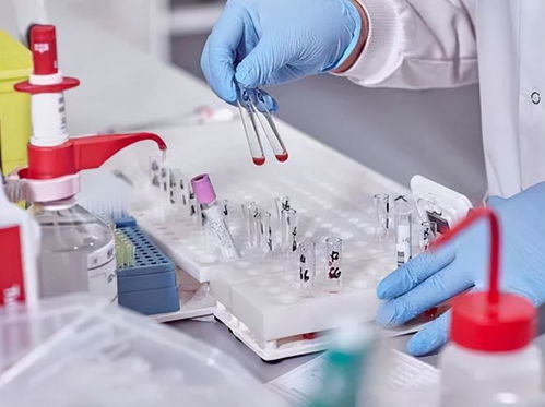 酒店洗護用品 在“洗牌、淘汰、升級”中重塑行業標準